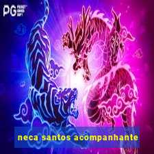 neca santos acompanhante